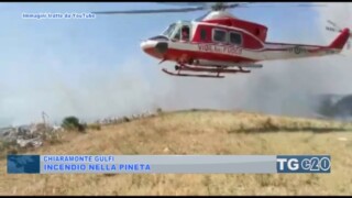 CHIARAMONTE GULFI. INCENDIO NELLA PINETA